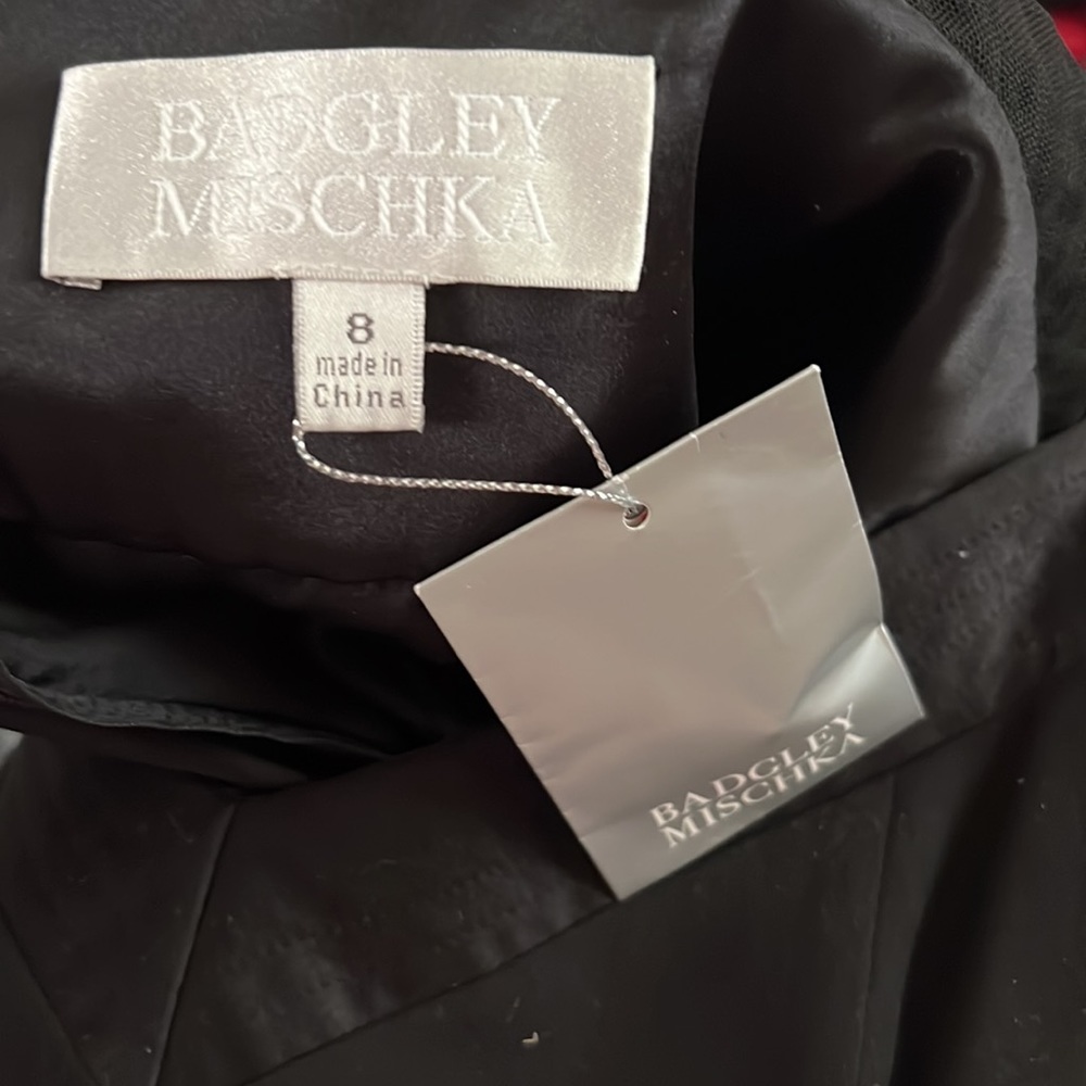 NWTš·BADGLEY MISCHKAš·Black net illusion trim silk sweetheart neck SS flare LBD - Picture 5 of 6
